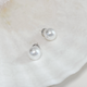 Louvre Classic Pearl Stud Earrings